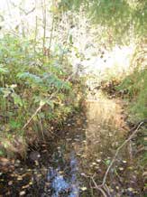 UOMAN PITUUS (km) 2,5 Ylisenjärvi/Ruovesi RAKENTEET 3 rumpua/putkea ARVIO VEDEN LAADUSTA Humuksinen Ei erityisiä luontoarvoja puroympäristön kannalta. Ei asemakaavaa.