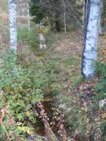 UOMAN PITUUS (km) 1,1 Ylisenjärvi/Ruovesi RAKENTEET 2 rumpua/putkea ARVIO VEDEN LAADUSTA Lievästi humuksista.