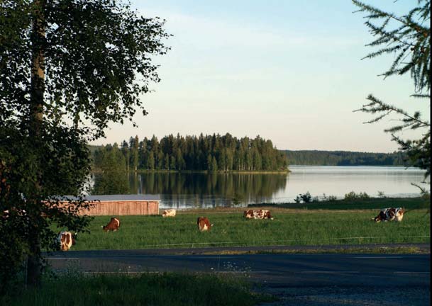 Linnansalmi, kuva: Arkkitehtitoimisto Hannu Puurunen Oy Useaan kertaan laajennetun vanhan päärakennuksen tarkkaa ikää ei tiedetä.