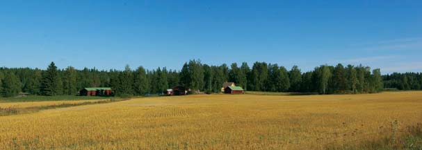1980-luvun alussa talo on perusteellisesti remontoitu, jolloin myös ikkunat on vaihdettu. Riviaitta on vuodelta 1915. Taloa vastapäätä on v.1921 rakennettu kivinavetta.