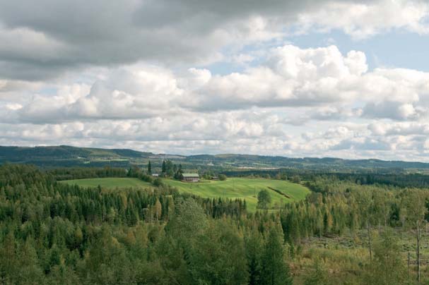 Sänkimäen, Pohjois-Sänkimäen ja Kinahmin kylät edustavat tyypillistä Nilsiän seudun mäkiasutusta. Alue on pinnanmuodoiltaan vaihtelevaa moreenimaastoa. Eerikkilä Päärakennus v.