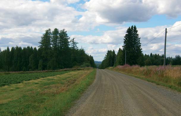 Heinämäki, kuva: Mervi Koskinen Maisemakuvassa vuorottelevat metsä ja mäen lakialueen viljavat vainiot. Mäen avoimelta laelta aukeaa pitkiä näkymiä ympöivän vedenjakajaseudun karuun metsämaisemaan.
