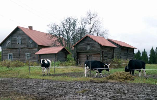 Haja-asutusalueet Kangaslammin koulu Rakennettu v. 1939 Valintaperuste: Näiden puitejakona on 1930-luvulla muotiin tullut malli. Koulu lakkautettiin v.