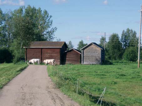 Postitalon aittoja, kuva: Arkkitehtitoimisto Hannu Puurunen Oy Nissilän postitalon vanhasta rakennuskannasta on säilynyt kolme aittaa: pärevuorattu eloaitta vuodelta 1780, otsallinen pärevuorattu