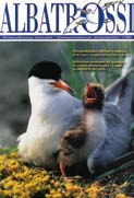 Iloa tiedosta Albatrossin ensimmäisen numeron ilmestymisestä on tänä vuonna kulunut kymmenen vuotta.