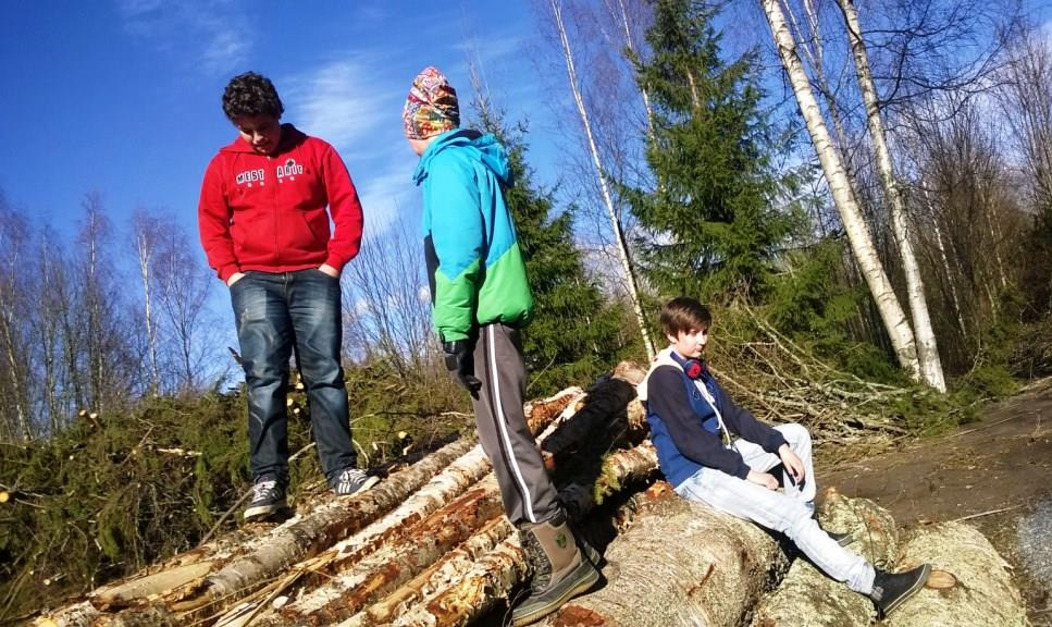 Vartion jäsenet? Aatu, Aleksi, Anna, Eetu, Joonas, Mauri Vj:t Perttu ja Otto Ryhmän nimi?