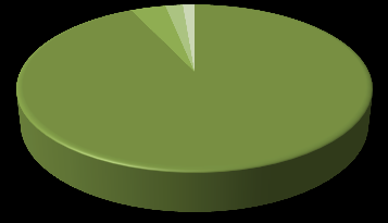 5 % 2 % 4 % 14 % Minkä merkkisen puhelimen omistat?