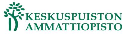 Erilaisen oppijan tunnistaminen ja