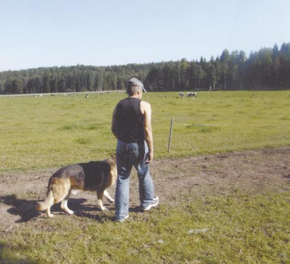 Maaseutu, metsäkulma aitoine tuoksuineen ja kokemuksineen on monen unelmissa, mutta saavuttamattomissa. Pakokaasujen katku, sosiaaliviraston elättien promillehuuruinen henkäys, ilkivalta jne.