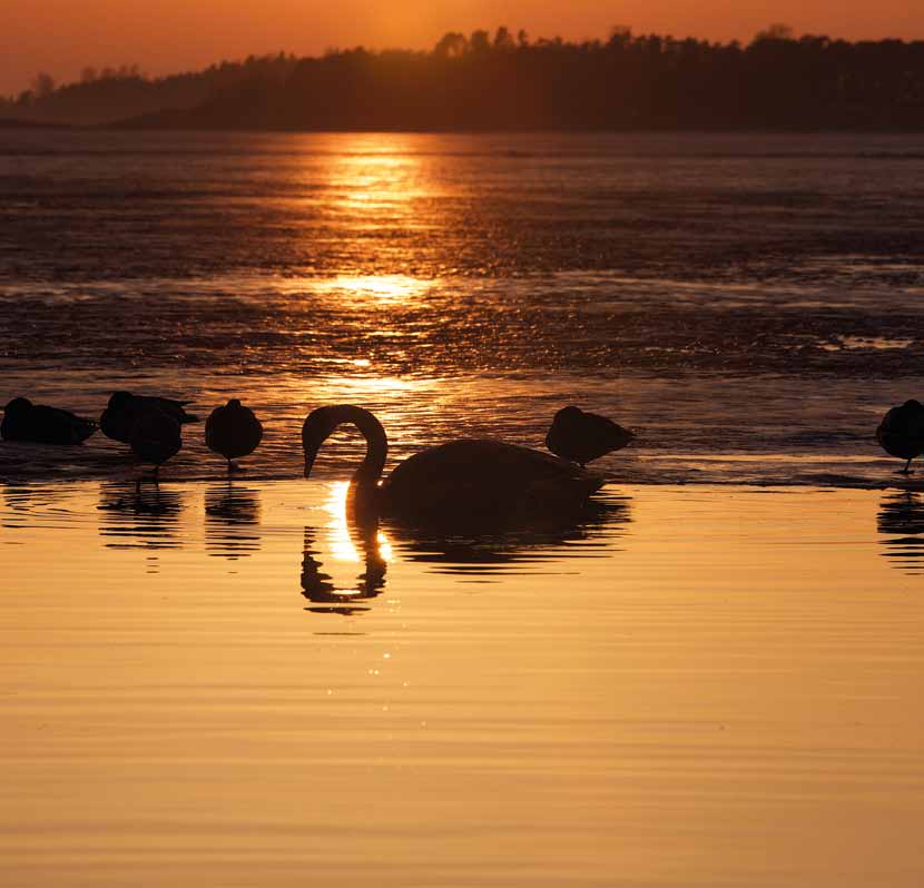 ELÄVÄ SANA -SEURAKUNTA PASTORIT Peter ja Pia Hackzell peter.hackzell@elavasana.net pia.hackzell@elavasana.net Veikko Lipponen veikko.lipponen@elavasana.net Jani Pellikka jani.pellikka@elavasana.