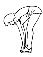 Venytyksen tulisi tuntua sisäreisissä, polvitaipeen /polven lihaksissa, selässä ja nivusissa.