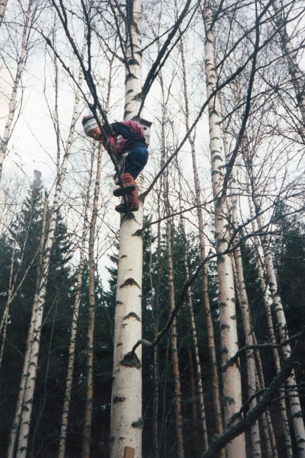 Yllä oleva kuva on edellisestä työpaikastani