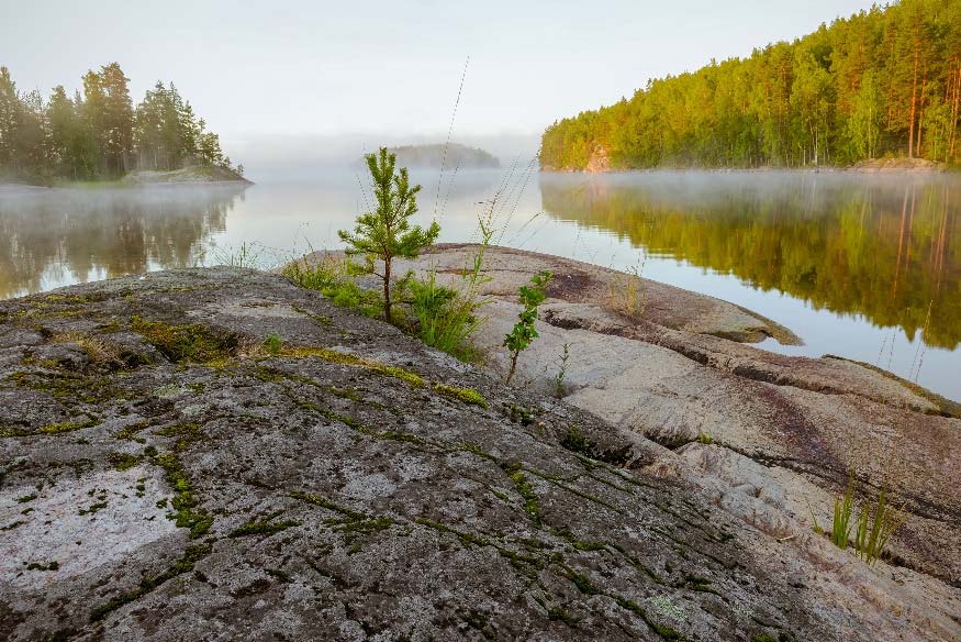 Elämänhallinta, human agency kykyä (Bandura, 2006) suunnitella elämää ja asettaa tavoitteita ohjata omaa elämäänsä tavoitteidensa sekä arvojensa suuntaan suunnata ja