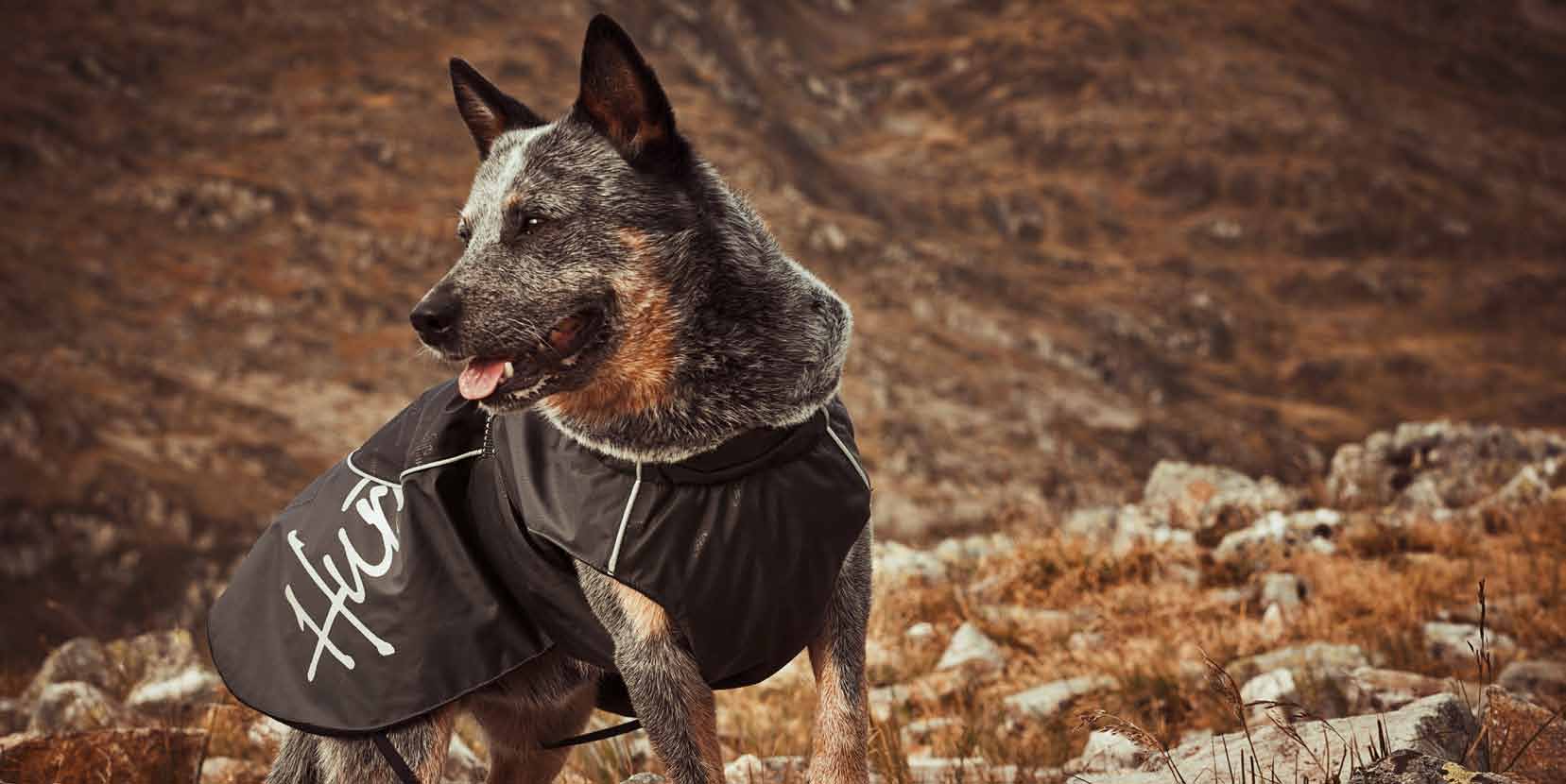 opas yleisimmille koiraroduille... 4 Ohjeita oikean koon löytämiseen... Outdoorstuotteiden mitoitus.