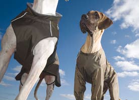 Polski owczarek nizinny Pomeranian Portugalinvesikoira Puli Pumi Pyreneittenkoira Pyreneittenmastiffi Ranskanbulldoggi Rhodesian ridgeback Rottweiler Saksanmetsästysterrieri Saksanpaimenkoira