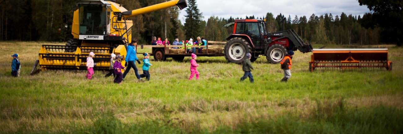 2 Kasvaako porkkana puussa Lasten ruokakulttuuriviikko