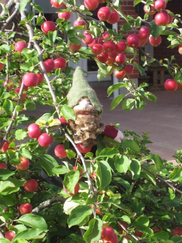 kaneli, neilikka, pomeranssi, kardemumma, inkivääri, appelsiinin kuori,