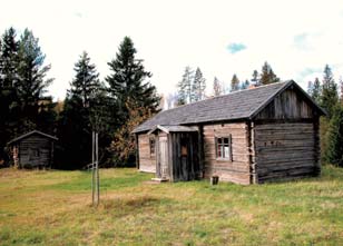 Oik.: 1900-luvun alkuun asti puutarhakasvit olivat harvinaisia talonpoikaistilojen pihapiireissä. Nykykatsojasta Hämeenkyrön Myllykolun ympäristö näyttää paljaalta. Oik.