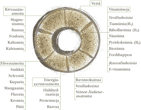 Leipä vitaminoi