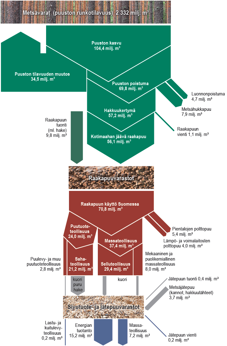 Kuva 24. Suomessa puunkäytön varannot ja virrat metsässä (vihreä osa) ja tehtailla, mukaan lukien sivutuotevirrat (Kuva: Aarre Peltola, METLA).