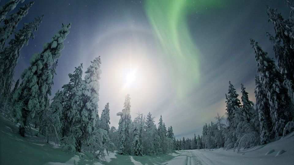 Vapaa-aikatoimisto Sirpa Halonen Räätälintie 6 83700 POLVIJÄRVI p. 04010 46204 e-mail:sirpa.halonen@polvijarvi.fi Urheiluseurojen toimistot: PoU:n toimisto puh. ja fax.