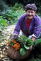 Ullan palsta Varkautelainen luomukotipuutarhuri, keruutuoteneuvoja, tietokirjailija ja toimittaja Ulla Lehtonen kirjoitti ensimmäiset kasvisravintoa ja puutarhanhoitoa käsittelevät juttunsa Terve