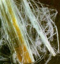 Mitä asbesti on Asbesti on kuitumainen silikaattimineraali.