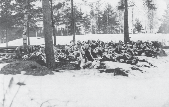 Sivut 192-198. Laatokalla Kelpän linnakkeella vuonna 1938.