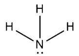 h. hydrolyysireaktio NaOH (aq) + i. primäärisen amiinin alkylointireaktio + N H2 + + Cl - 10. Esitä etikkahapon ja ammoniakin välisen reaktion protoninsiirtomekanismi. O O O H NH 4 + O - 11.