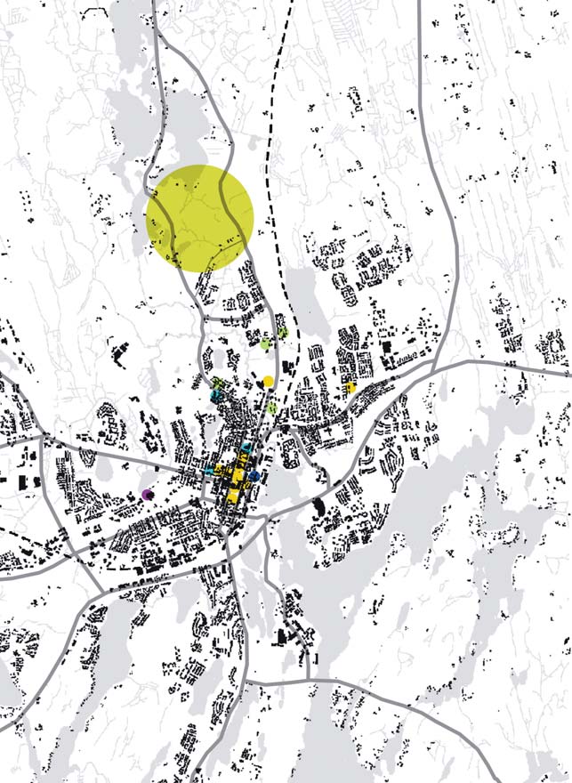 Mikkeli on alueen hallinnollinen keskus ja pyrkii visiossaan painottamaan elinvoimaisuutta, käyttäjälähtöistä palvelutarjontaa ja luonnonläheisyyttä. Asukkaita kaupungissa on 54 600.