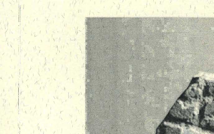\1-1 1 '\