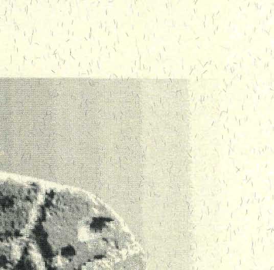'- v ',1 J