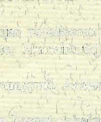 - ',1- ' / '\' 1-4\ y Muirlaistutkijan vuosikerrah1tilaushinta Suomeen, 109 huc\ u,ncom~in~120 rpk.