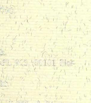 'ffi~rl l 'V"feol<ygtnen,/seura, Ml\st1?vi~asto ~ \~L 1 913, \~910~ y Het- l' \ ~lnkl.