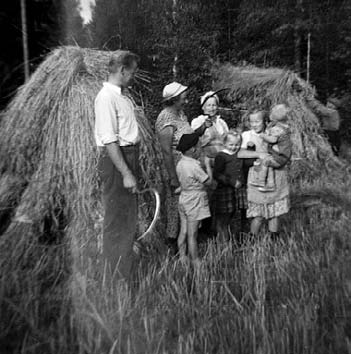 Kasvimaan antimet Viljan viljelyn lisäksi joka talossa oli oma kasvimaa. Siellä kasvatettiin suurin piirtein samoja tuotteita kun nykyäänkin, paitsi tomaatteja, mansikkaa ja mausteita.