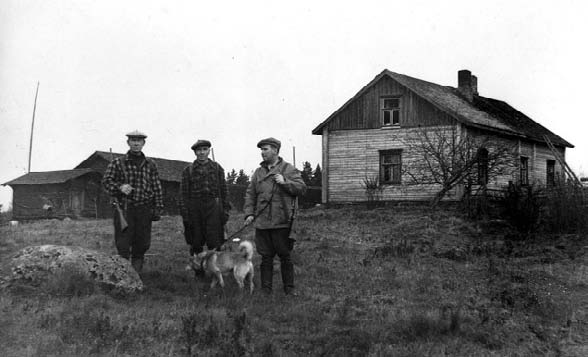 teuraslihoja myös palvattiin ja savustettiin. Sikoniemessä oli asunut mies, joka hoiti lihan palvaamisen ja suolaamisen tarvittaessa. Sen ajan yhteisöllisyyttä kuvastaa myös niin sanottu sikajuhla.