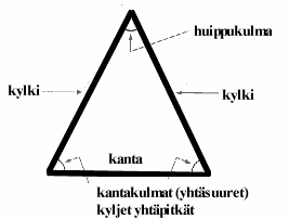 Kolmio Tasakylkinen kolmio Tasasivuinen kolmio Tylppäkulmainen kolmio Suorakulmainen
