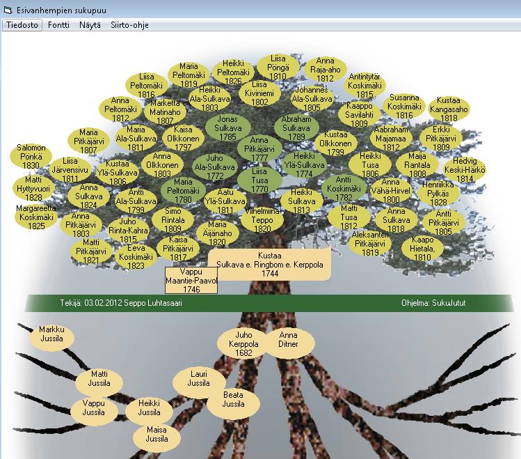 Jos pallukoihin klikkaa hiirellä, niin kyseinen henkilö siirtyy sukupuun juureen ja kuva piirretään uudelleen. Esivanhempien sukupuun voit tulostaa suoraan kirjoittimelle, kuvaksi sukupuu.