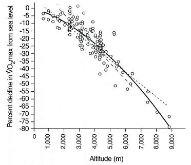 Korkeuden vaikutus VO 2 max:iin Korkeus vaikuttaa VO 2 max:iin