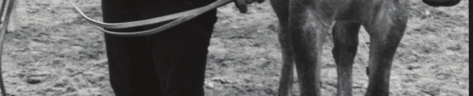 2001 31.12.