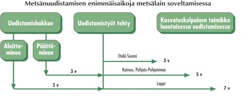 Uudistamisen varmistaminen Taimikon tarkastus