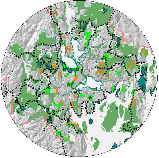 Jyväskylän yleiskaava Viherrakenne yleiskaavassa koostuu Kartan 1/7 (yhdyskuntarakenteen ohjaus) virkistys- ja