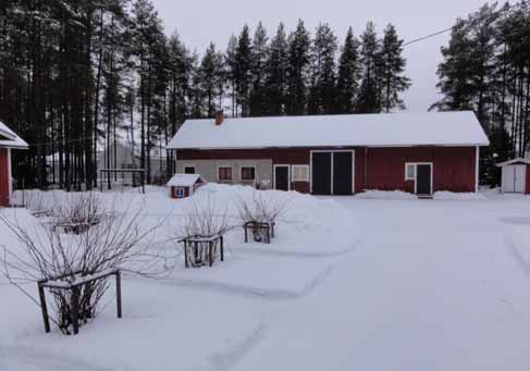 Pihapiirissä on kaksi