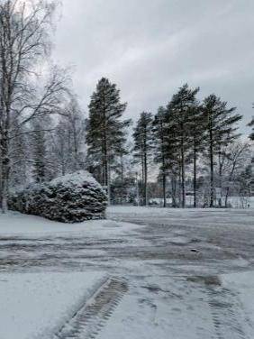 Kerrostalojen ylimmistä kerroksista voi avautua näkymiä puuston yli tuulivoimala-alueelle.