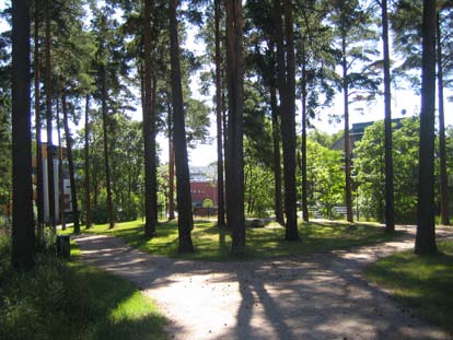 Otto-Iivari Meumanin puisto.