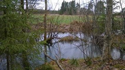 Metsäalueelle ehdotetun keskimmäisen pohjapadon yläpuolisen valuma-alueen pinta-ala on 53 hehtaaria.