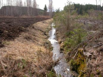 Hattukorvenojaa etelään päin. Tila: Suuri virtausnopeus keväisin. Toimenpiteet: Viereistä uudistusalaa voisi käyttää pintavalutuskenttänä.