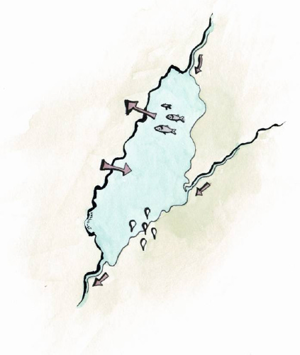 Esimerkki kuormituksen jakautumisesta: Säkylän Pyhäjärven fosforitase 2000-2006 Järveen tuleva fosfori yhteensä: 15,2 tonnia/v Valuma-alue 615 km 2 Pinta-ala 154 km 2 Keskisyvyys 5,4 m Suurin syvyys