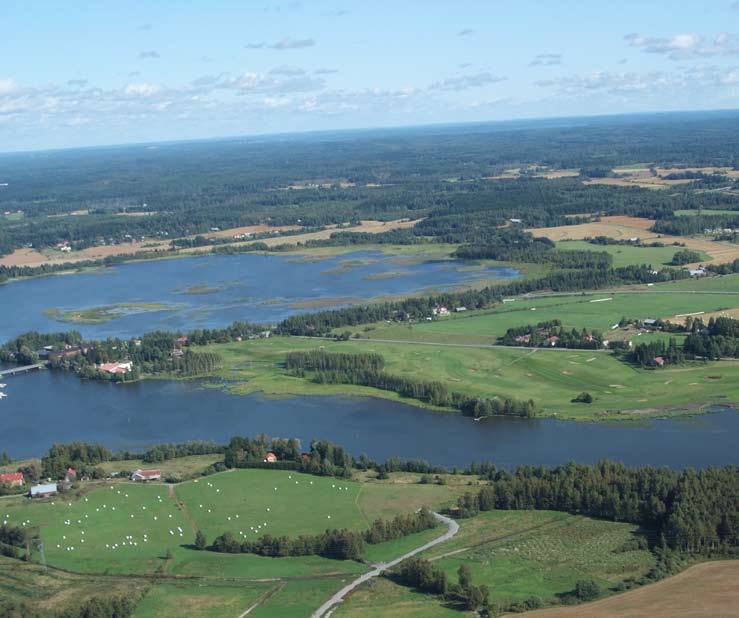 ahtialan järven natura-alue 15 Lajikohtainen vaikutusarviointi Vaikutukset lintudirektiivin l lajeihin Kalatiira Kalatiira pesii lokkisaaressa (v. 2000 4 paria) muiden lokkilajien lähellä.