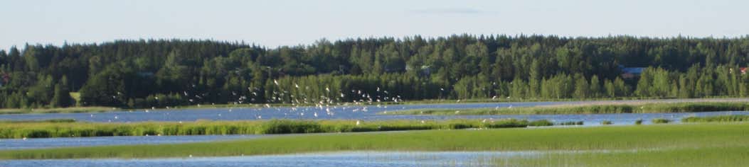 17 Ahtialanjärven kasvillisuusvyöhykkeet Faunatica Oy on tutkinut vuonna 2010 Ahtialanjärven kasvillisuusvyöhykkeitä.